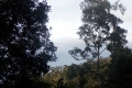 DSCN4538