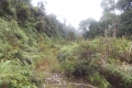 DSCN4539