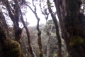 DSCN4571