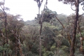 DSCN4576