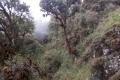DSCN4602