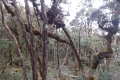 DSCN4607
