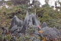 DSCN4611