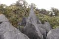 DSCN4618