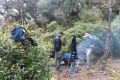 DSCN4629