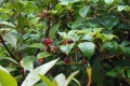 DSCN4632