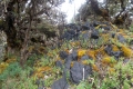 DSCN4647