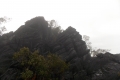 DSCN4651