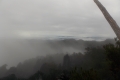 DSCN4655