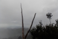 DSCN4658