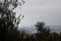 DSCN4694