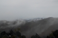 DSCN4706