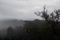 DSCN4719