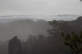 DSCN4721