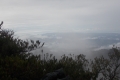 DSCN4728