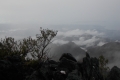 DSCN4729