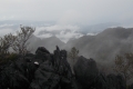 DSCN4743