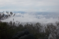 DSCN4770