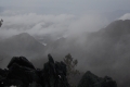 DSCN4771