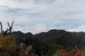 DSCN4808
