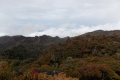 DSCN4815