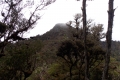 DSCN4828