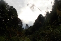 DSCN4829