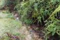 DSCN4830
