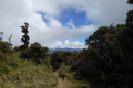 Mount-Pulag-descending-to-the-trailhead-Dan-Quinn-July-2012
