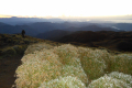 Mount-Pulag-early-morning-at-the-summit-Dan-Quinn-July-2012-2
