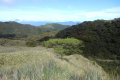 Mount-Pulag-early-morning-back-at-the-camp-spot-Dan-Quinn-July-2012-2