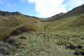 Mount-Pulag-early-morning-back-at-the-camp-spot-Dan-Quinn-July-2012-3