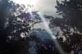 DSCN7165