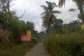 DSCN6366