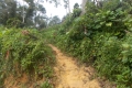 DSCN6375