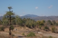 DSCN1148