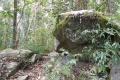 DSCN1230