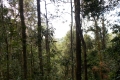 DSCN1236