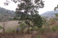 DSCN1246