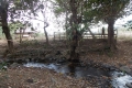 DSCN1257