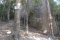 DSCN6699