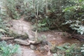 DSCN6711