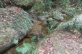 DSCN6714
