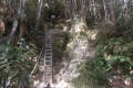 DSCN6739