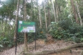 DSCN6744