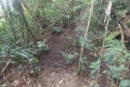 DSCN6745