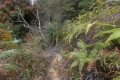 DSCN6780