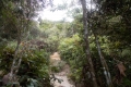 DSCN6781
