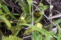 DSCN6782