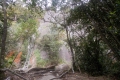 DSCN6785